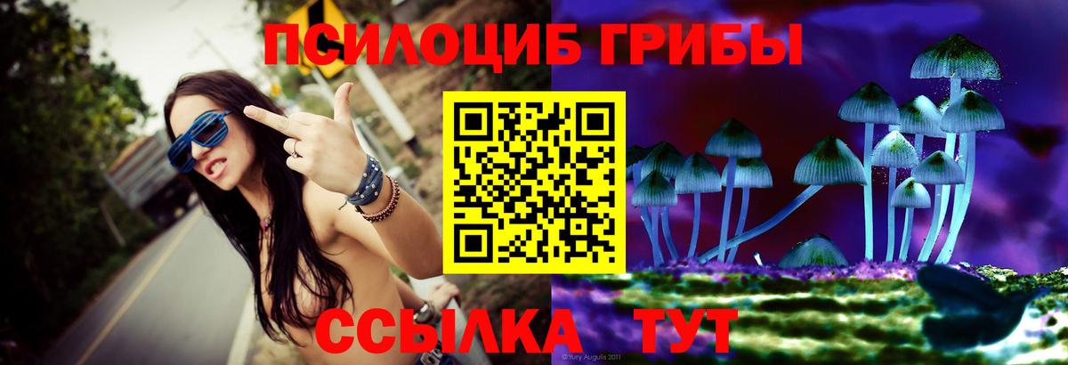 Галлюциногенные грибы ЛСД  Псилоцибиновые грибы Cubensis  Вход с VPN  Унеча 